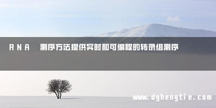 RNA 测序方法提供实时和可编程的转录组测序
